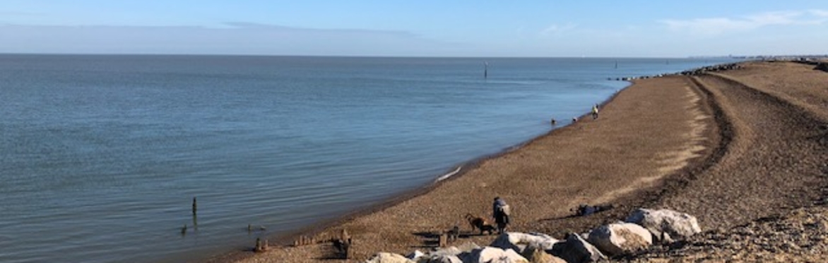Mid-Week Morning Walk : Minnis Bay