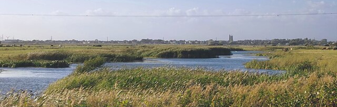 Mid-week Morning Walk : Dungeness