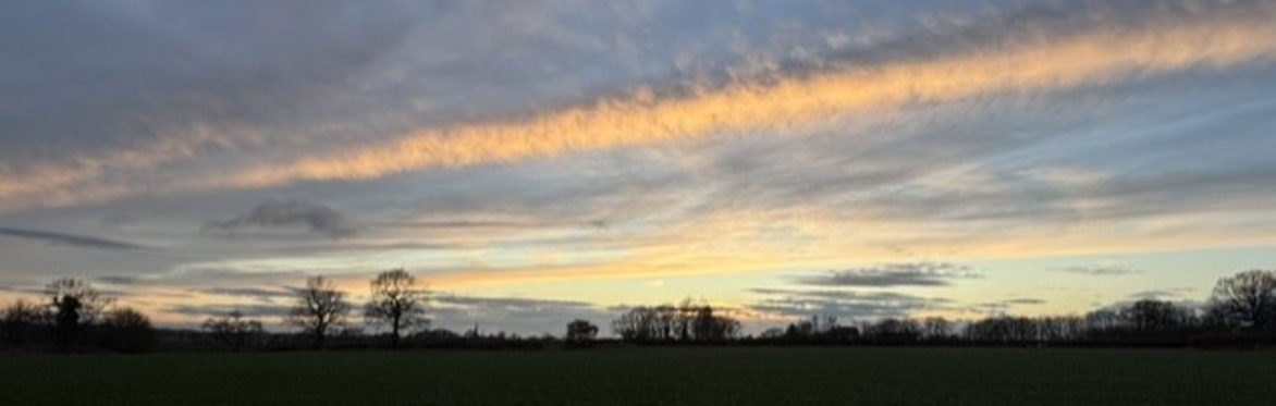 The Evening Reset