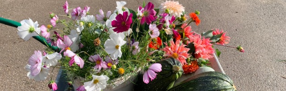 Seasonal Flower Arranging Workshop