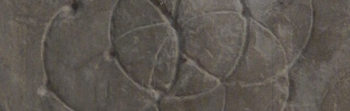 Interlocking circles carved in grey stone.