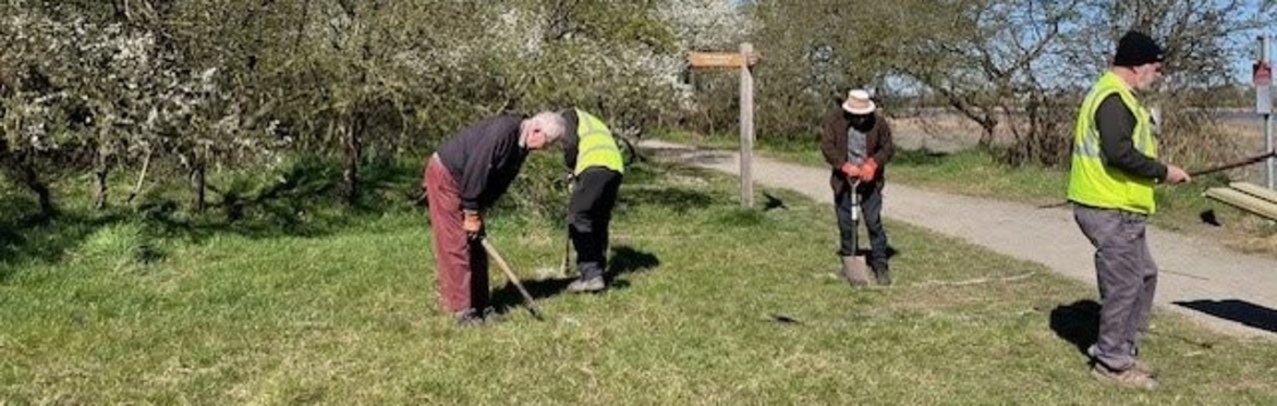 Conservation Day