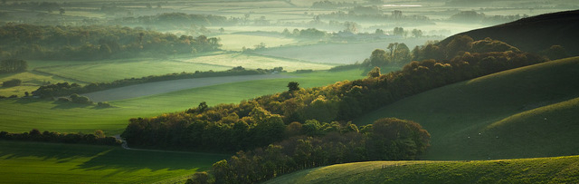 Into Autumn with Peter Owen Jones - 2 Day Sussex Pilgrimage
