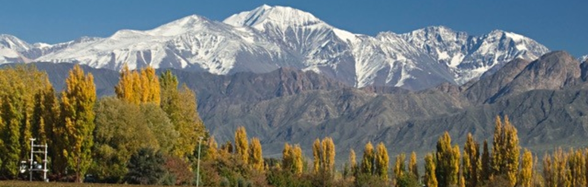 A Taste of Argentina