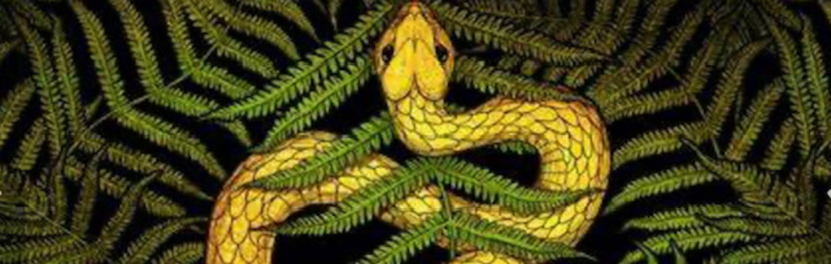 EMBODYING THE SNAKE- 8- week Journey into Snake Medicine for our Times with Eva Weaver & Guests