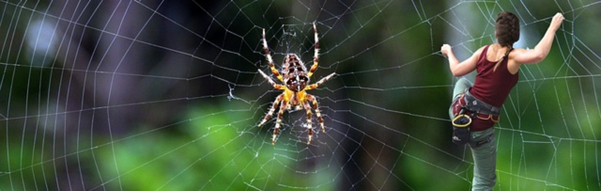 A girl climbing a spider's web, with a spider the same size next to her