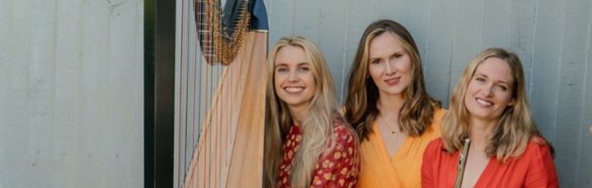 ERDA ENSEMBLE