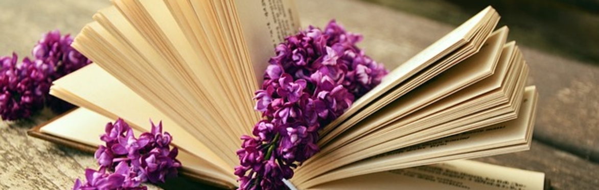 Studying Literature & Poetry 11/12+