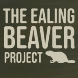 A picture of a beaver