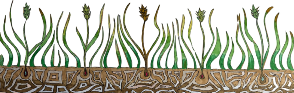 Grass Roots Seminar: George Bright - Liber Novus  – An Introduction to The Red Book