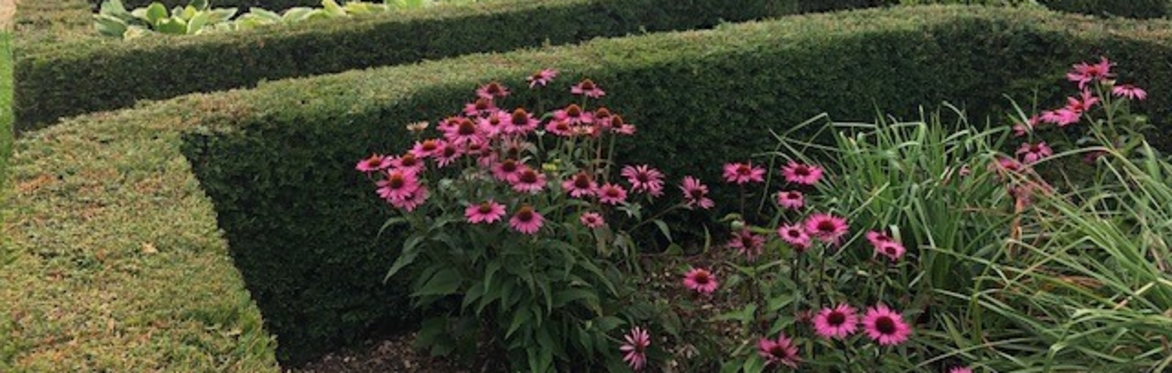 Adderstone House Open Garden 2026