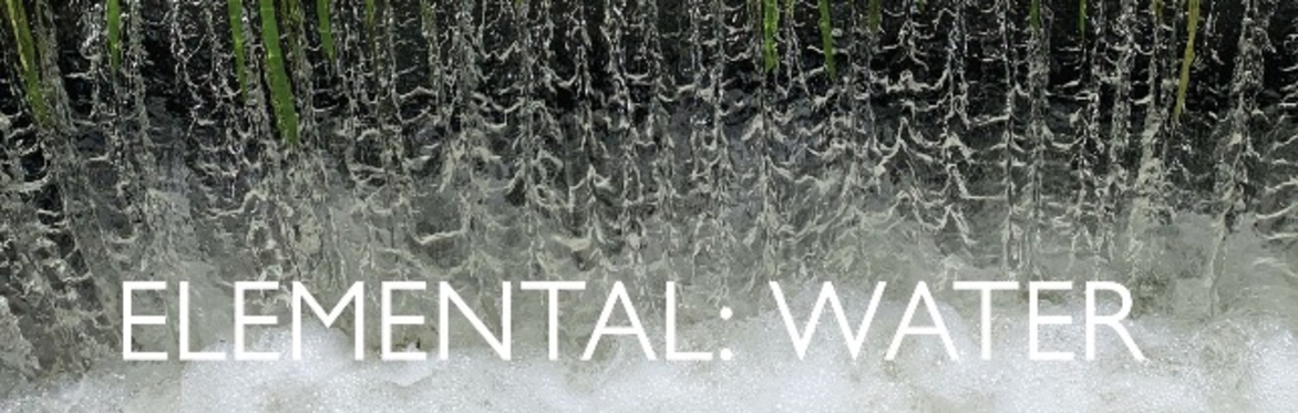Elemental: Water launch event: a celebration of new writing for the planet from Cambridge, and a gala poetry reading