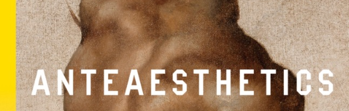 Public Knowledge: Anteaesthetics with Rizvana Bradley, Larne Abse Gogarty, Vanessa Peterson, and Sadia Shirazi