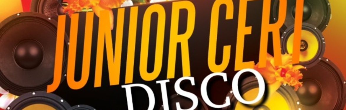End of Junior Cert Teen Disco