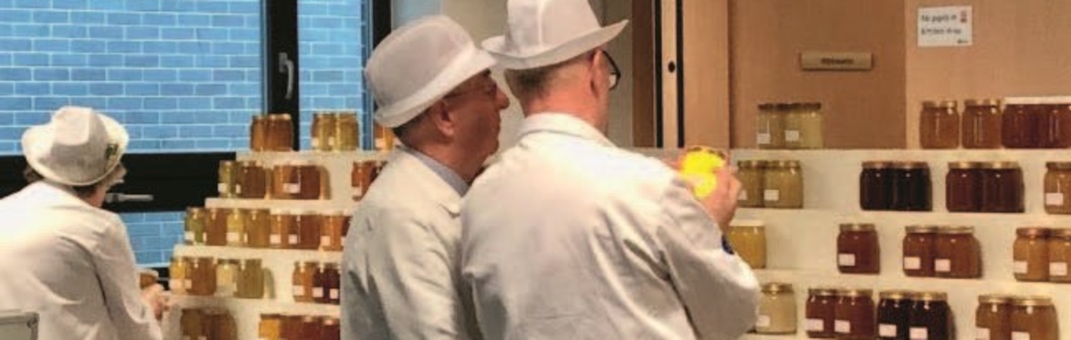 Two honey judges judging a row of honey