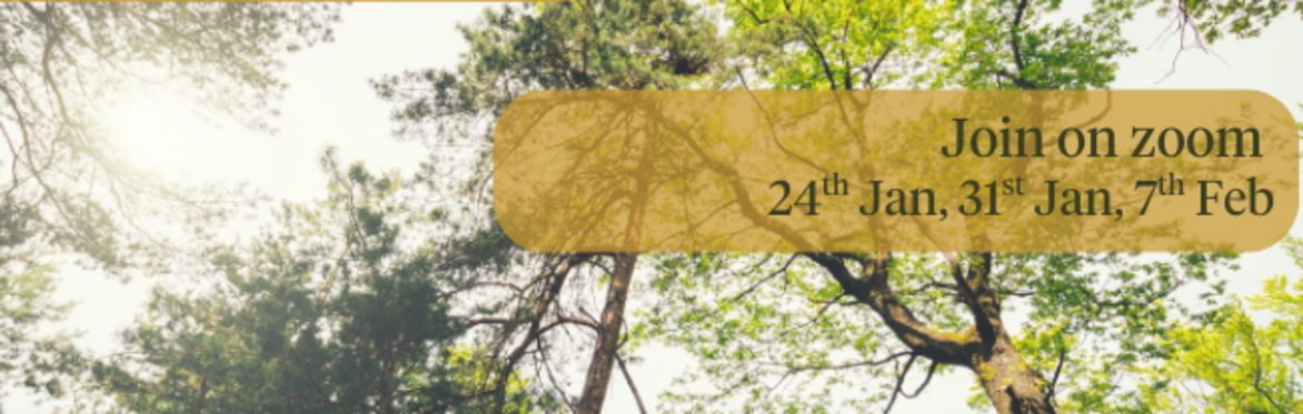 Introduction to Mindfulness | Led by Dereca Trevail