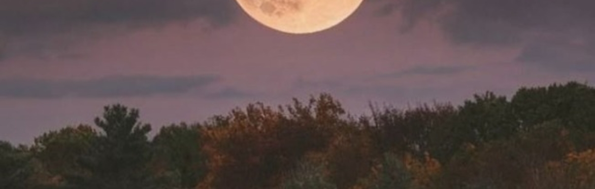 The Equinox Reset