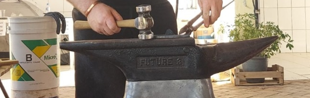 Close up of a horse shoe being hammered on an anvil