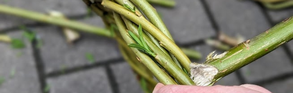 Willow Deer Workshop