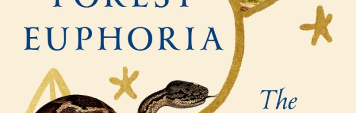 Forest Euphoria: The Abounding Queerness of Nature