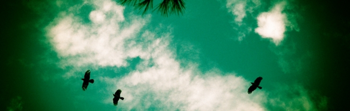 Matlock Storytelling Cafe presents:Emerald Sky told by Maria Whatton