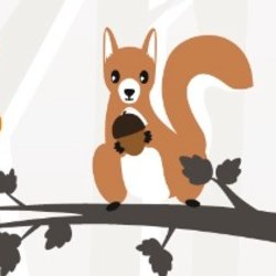 Autumn Adventure Canal Cruise