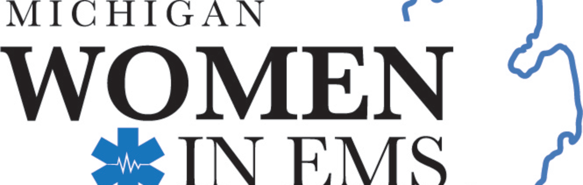 The WiES Michigan Chapter's 3rd Annual Leadership Conference