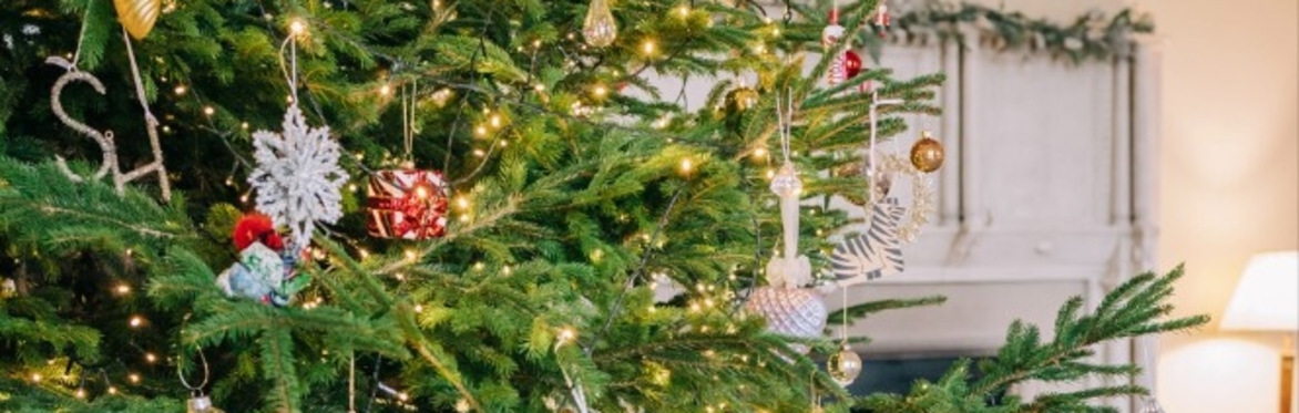 Stubton Hall Christmas Market
