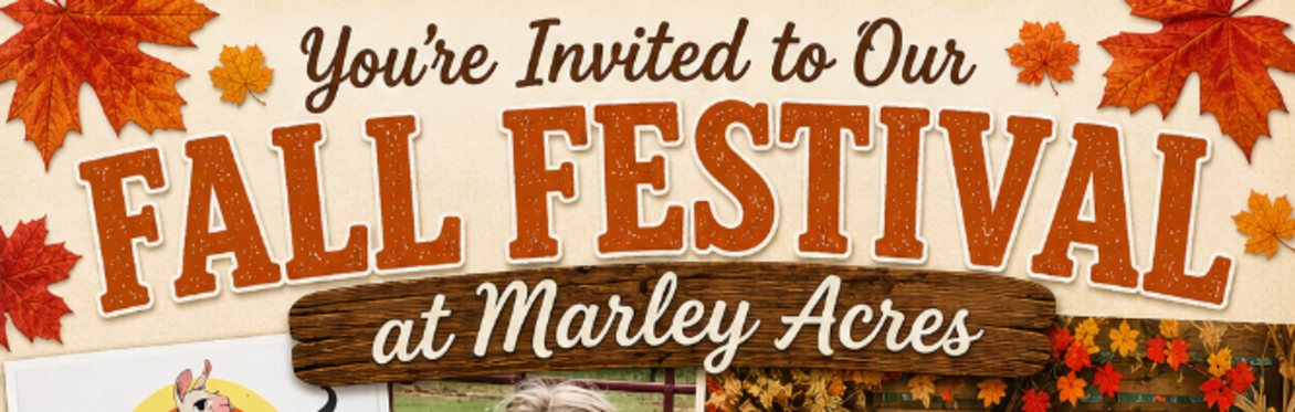 Fall Festival at Marley Acres