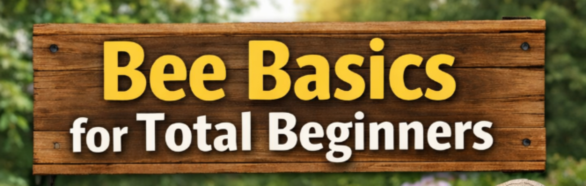 Bee Basics course for Total Beginners by (SWOBA)