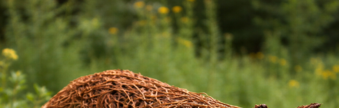 Willow Fox Sculpture Workshop