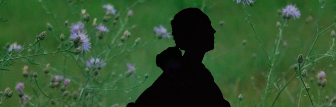 Everything You Have Is Yours, Film screening
