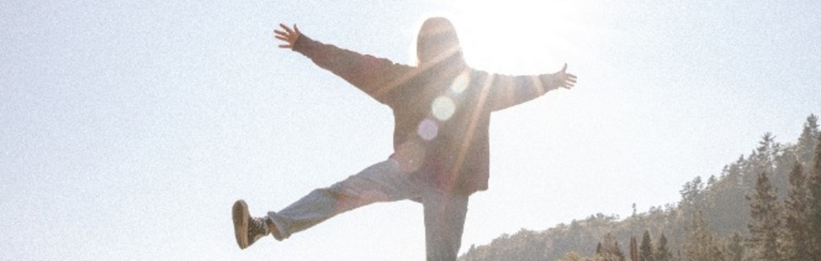 The Wellness Reset Workshop