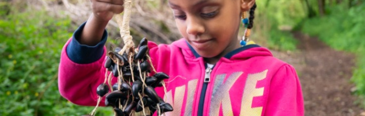 Tiny Nature Explorers