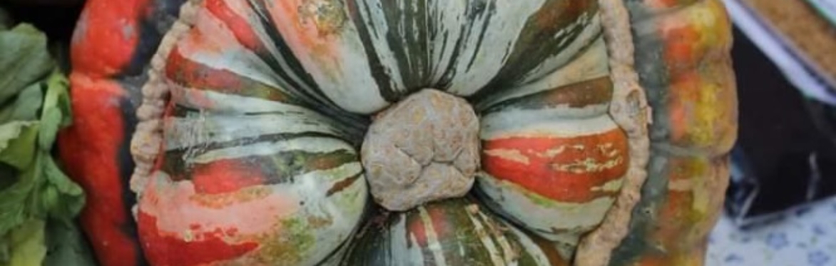 Pumpkin Preservation Pickle Party!