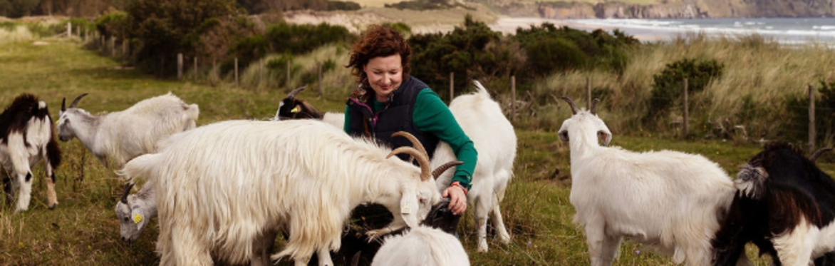 Join Scottish Cashmere Farmer Jillian Mcewan and her herd of adorable Cashmere Goats at Lunan Bay Farm for our Cashmere Goat Therapy Retreat