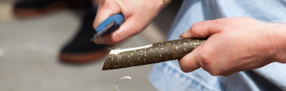 Wild Women Brunch Club: Women's Woodworking Day with Alice