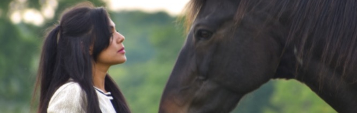 Elemental Horse Wisdom Course