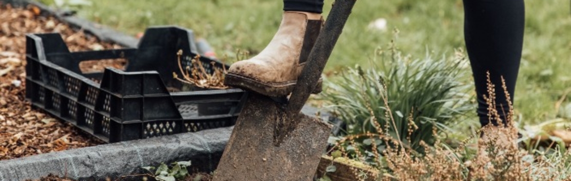 Winter Wellbeing - Gather & Grow Gardening Sessions