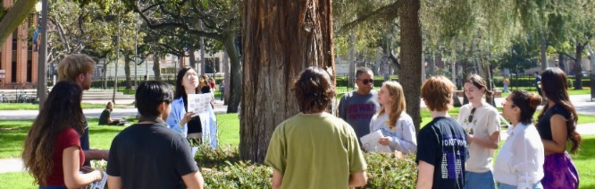 Mindful Tree Tour | In-Person