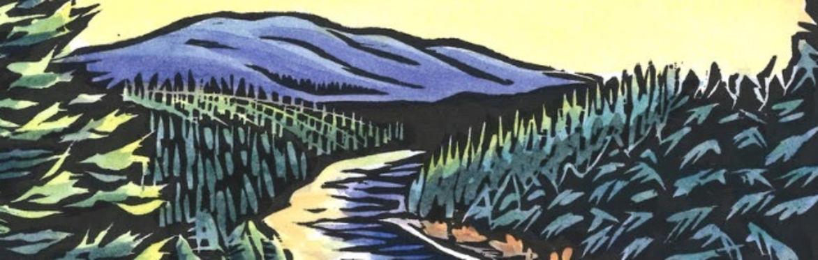 river with pine trees in background