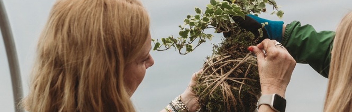 Houseplant Kokedama Workshop