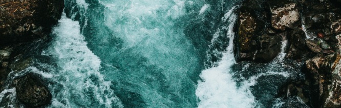 Solution Rush: Don't Get Swept Away by AI