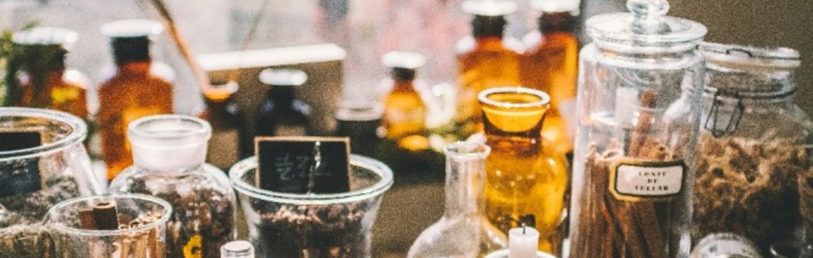 Medicines from the Hedgerows Workshop