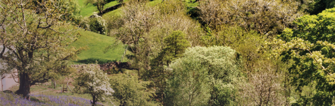 St Leonard's Way Challenge Walk 2021
