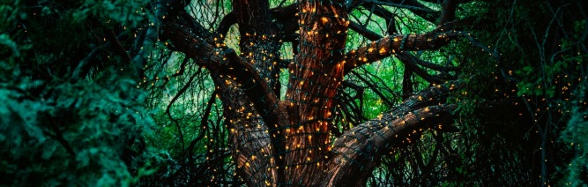 Reclaiming the Elements of Magic (Witchcraft for Therapists)