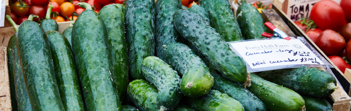 An introduction to fermenting at Forty Hall Farmers' Market