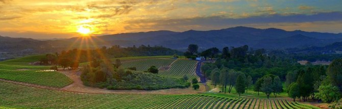 Friday Night Wine School - Wines of Lebanon with James Moises