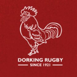 Summer '26 High Performance Programme
