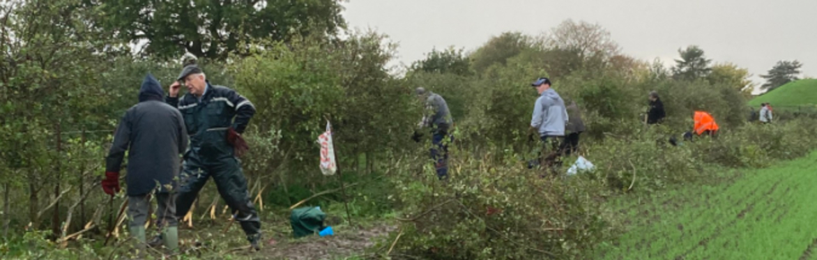 Shocklach - post hedgelaying match tidy-up